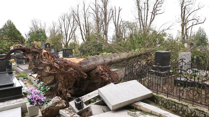 Tomašević o šteti na grobljima: 'Građani će moći prijaviti štetu, Grad će im financijski pomoći'