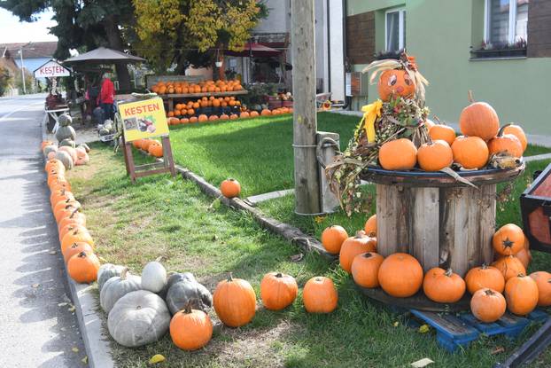Čukovec: Selo jagoda pretvoreno je u selo bundeva