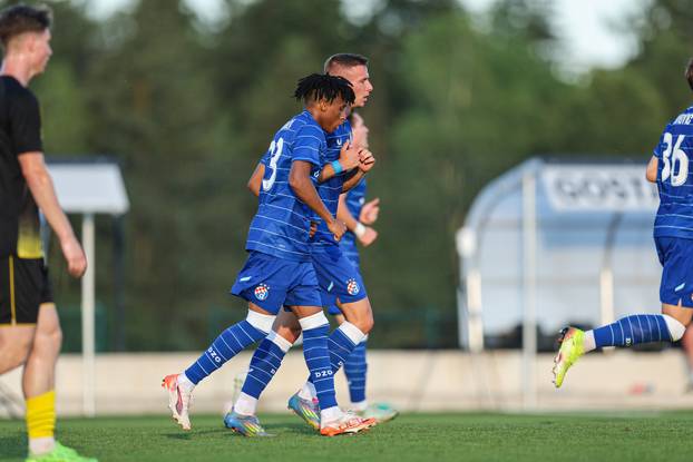 Radomlje: Prijateljska utakmica, GNK Dinamo - NK Radomlje