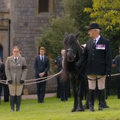 VIDEO Kraljičin omiljeni poni gledao pogrebnu povorku: 'Emma se pokušala nakloniti'
