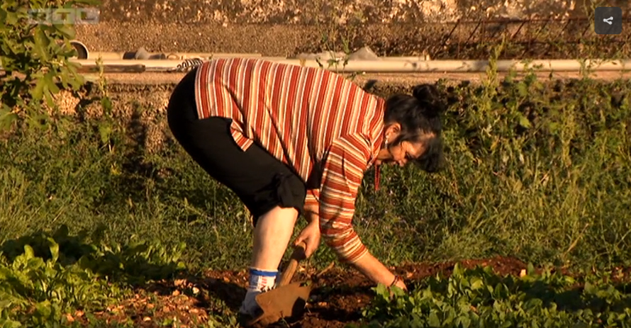 Ljubo poludio na Violetu: Sve si mandarine pojela, glavo luda!