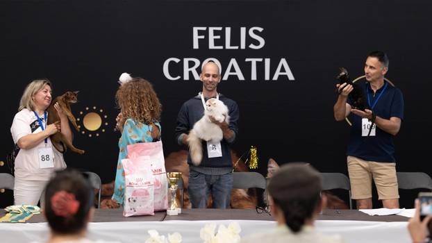 FOTO Velika izložba mačaka u Zagrebu: Predstavljene i jedinstvene modne kreacije