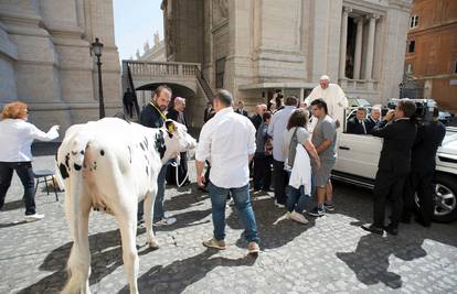 Papa dobio kravu na poklon: 'Ovaj dar je ostvarenje sna...'