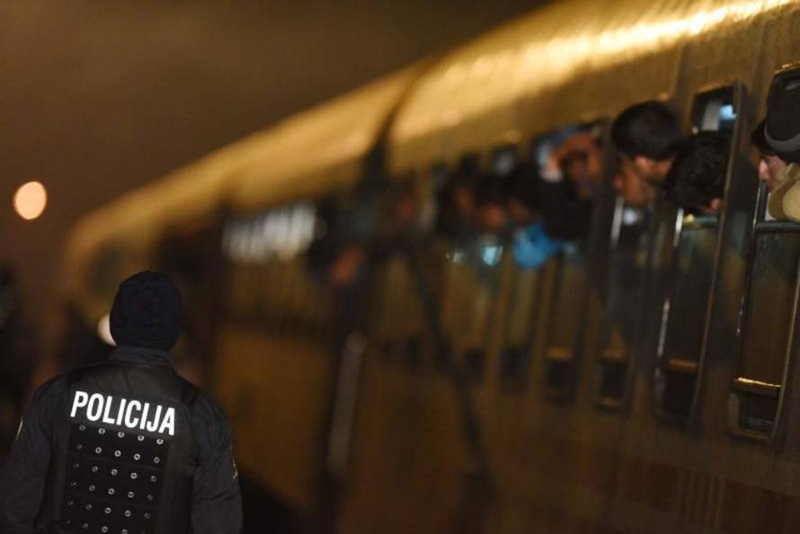 Vjeran Zganec Rogulja/PIXSELL