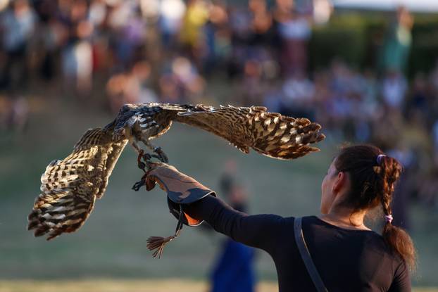 Počeo 14. Srednjovjekovni festival u Svetvincentu
