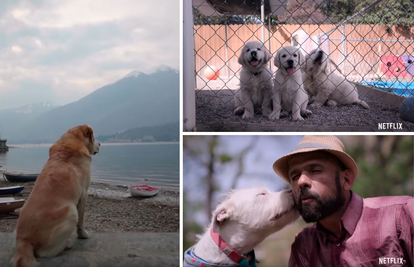 Na Netflixu kreće nova serija o psima koju svi željno iščekuju