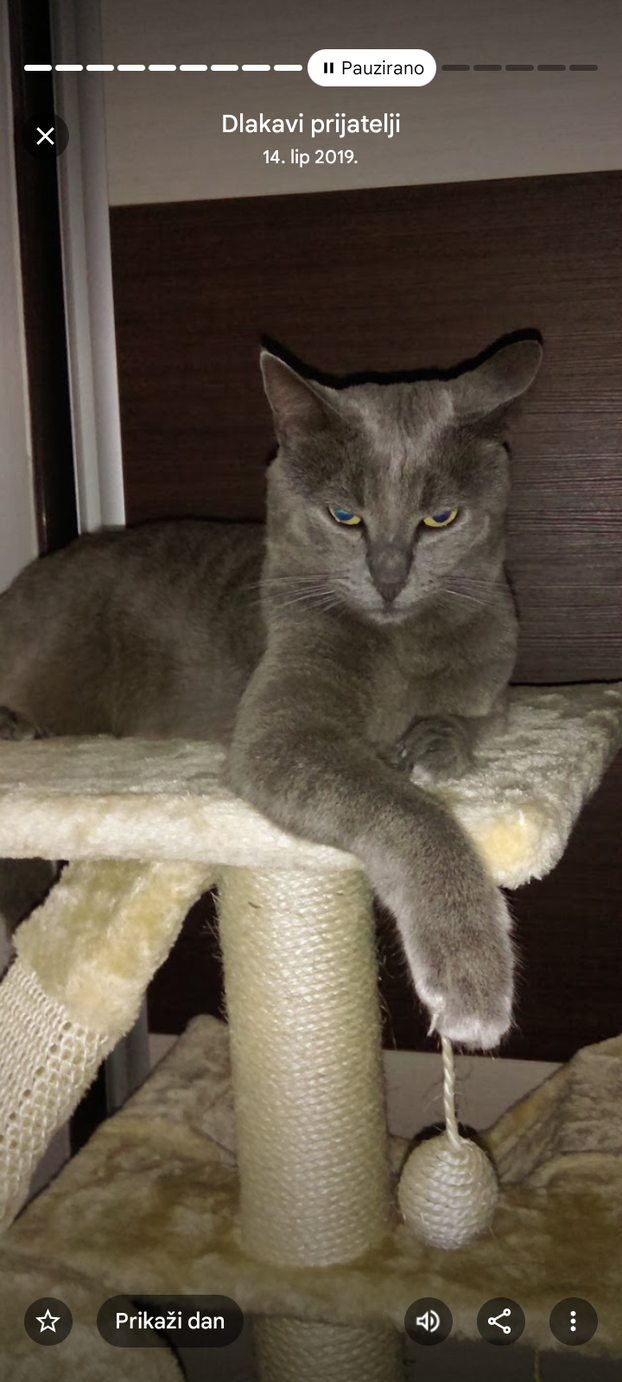 SUPER FOTKE vaših ljubimaca! Neki bi mogli biti viralni hit, ali svi su jednostavno neodoljivi