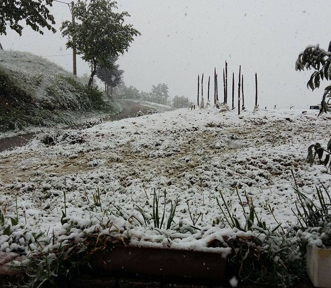 Usred proljeća: Snijeg zabijelio Varaždin i dijelove Međimurja