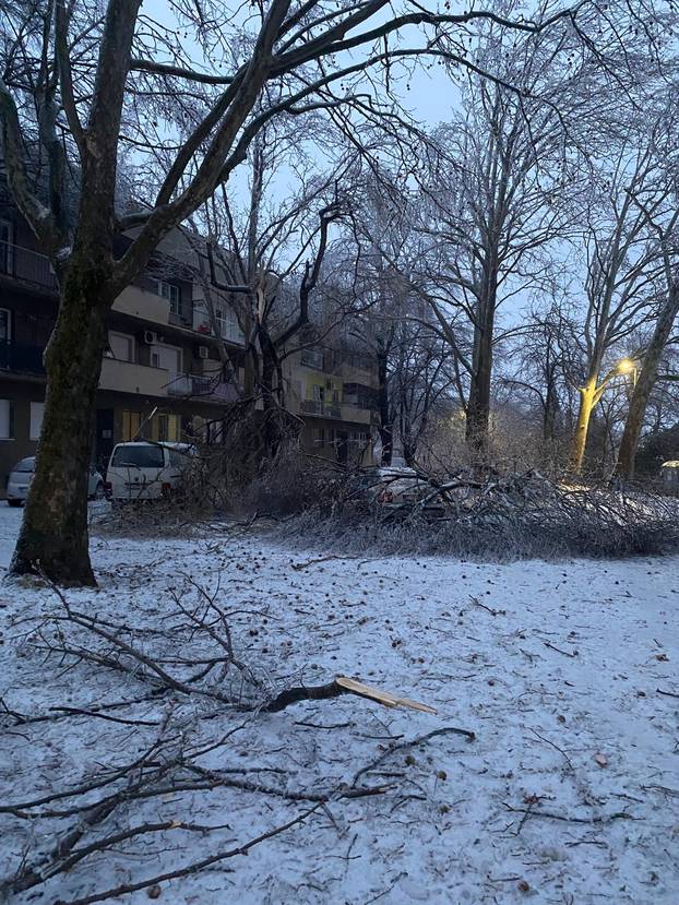 FOTO Smrznuti Knin: Pucaju stabla i grane, putnici satima zaglavljeni u vlaku...