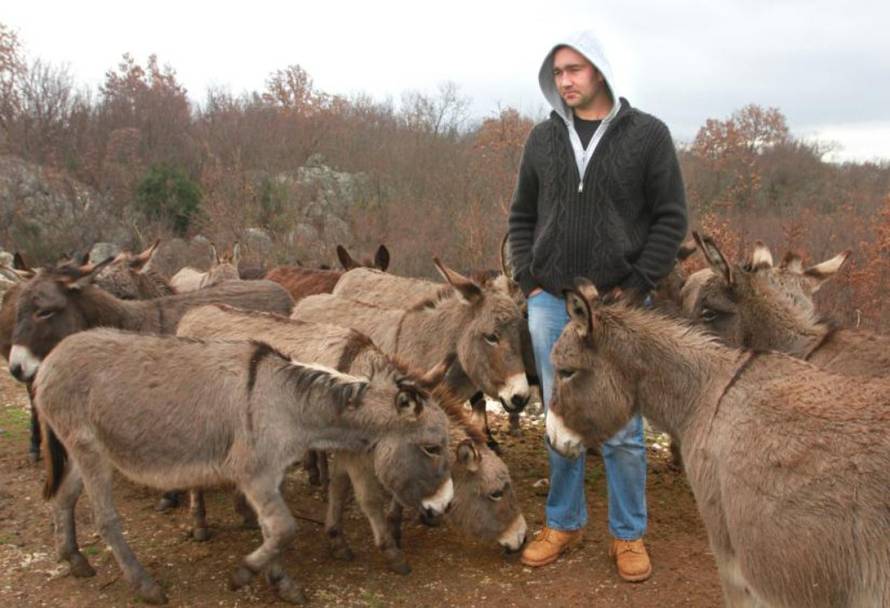 Ivana Ivanović/PIXSELL