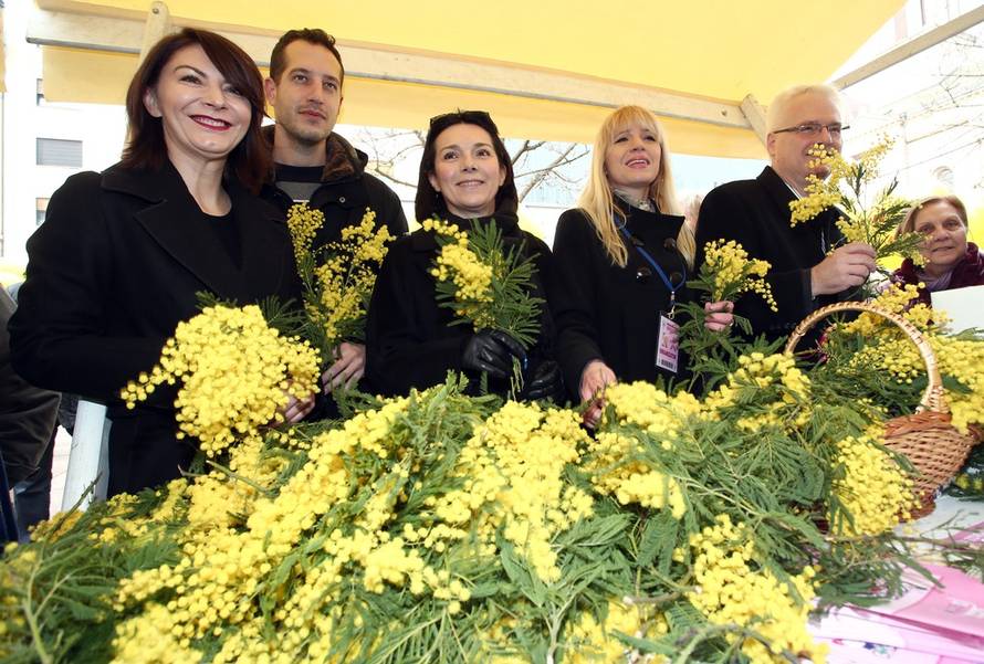 Sanjin Strukić/PIXSELL