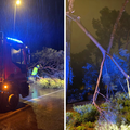 FOTO Snažno nevrijeme sinoć pogodilo Istru, vjetar lomio stabla, pogledajte posljedice