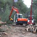 Tijekom sanacije Marjana je posječeno 38 tisuća stabala