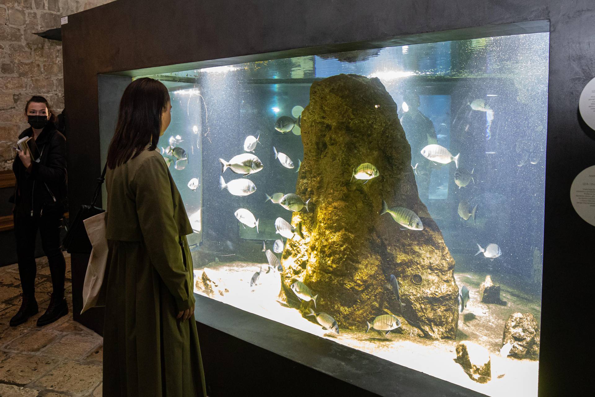 Nakon 18 mjeseci otvoren je obnovljeni dubrovački Akvarij