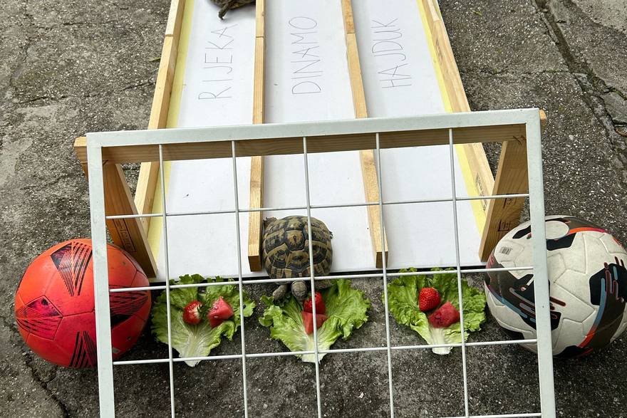 Utrka kornja&ccaron;a: Dinamo &cacute;e biti prvak!