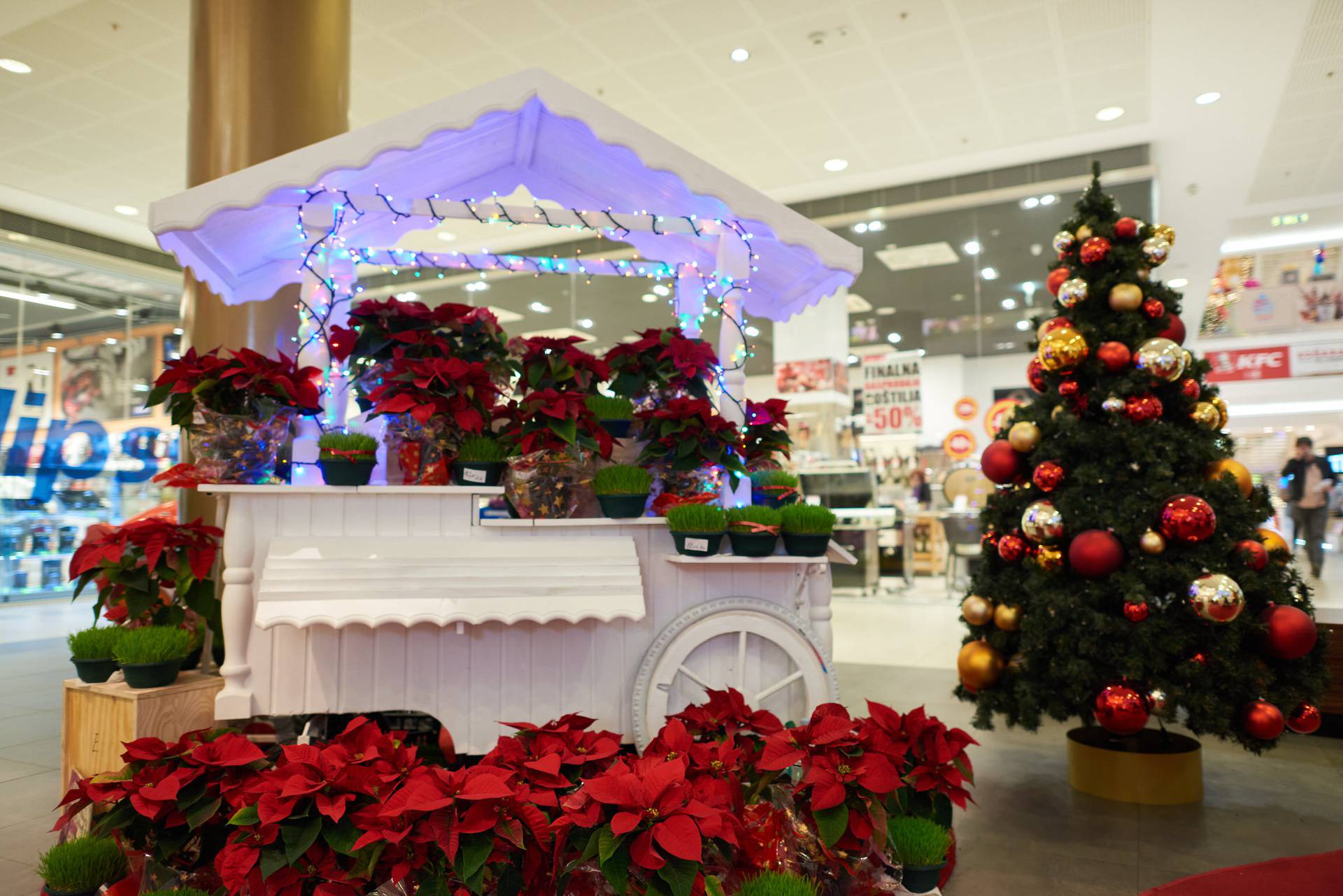 Siguran, bezbrižan i jako, jako ugodan shopping