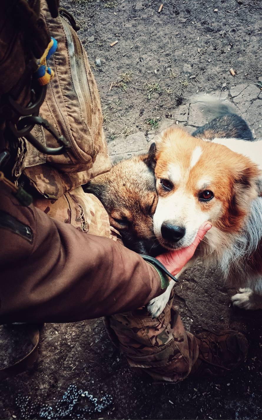 Fotografije iz rata su mu bile izložene u Zagrebu, sada je poginuo braneći svoju zemlju