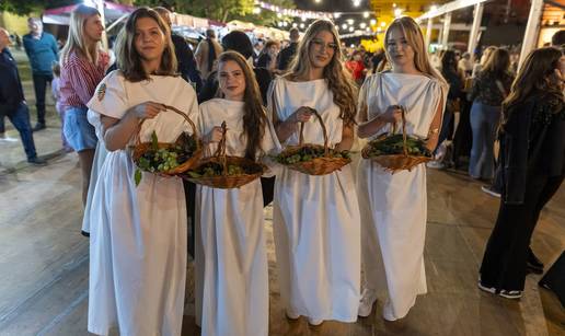 FOTO Podrumi spremni za vino - Započela 58. Iločka berba grožđa