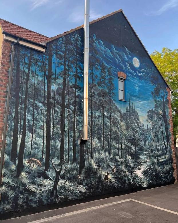 FOTO Umjetnik iscrtava murale na domovima: Pogledajte vrt na vanjskom zidu kuće!