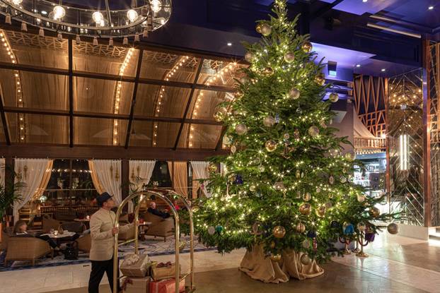 Spanish hotel unveils 'world's most expensive Christmas tree'
