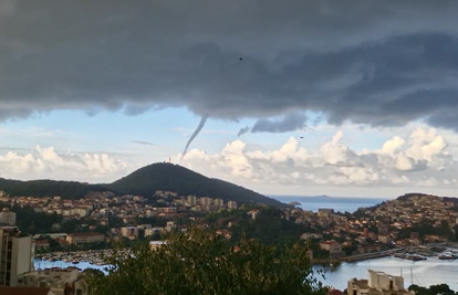 VIDEO Pijavice u Dubrovniku: 'Vrte se već nekih sat vremena'