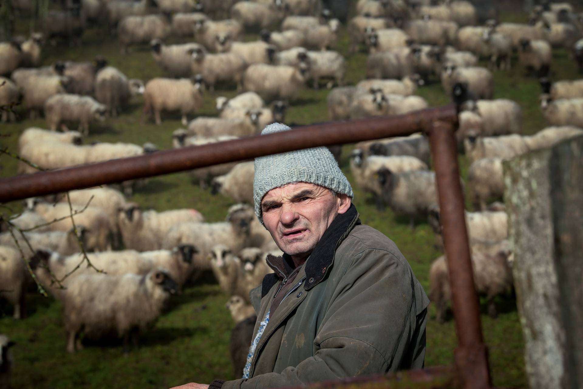 Upoznajte pastira Josu i njegove ovčice: 'Srećom, kuća mi je ostala čitava u potresu'