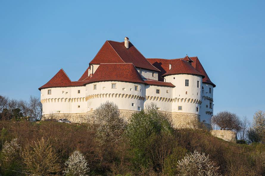 Kod Dvora Velik Tabor top usmrtio muškarca