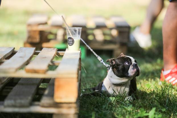 Zagreb: Ekotlon na Bundeku