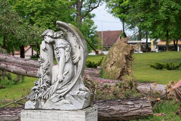 U oluji porušena stabla na Mirogoju napravila su veliku štetu