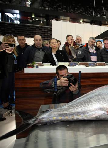 Tuna Gotovina