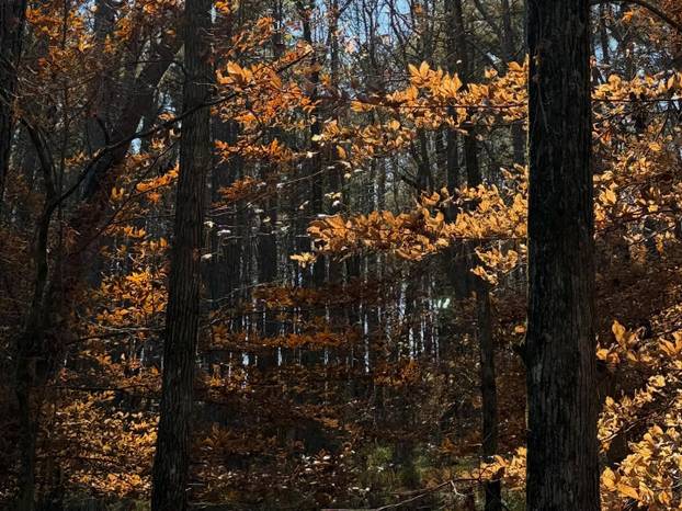 Riley Reid su već 'bezbroj' puta ugasili Instagram: Pogledajte kakve fotke sada objavljuje