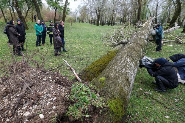Zagreb: Tomislav Toma&scaron;evi&cacute; obi&scaron;ao je Bundek