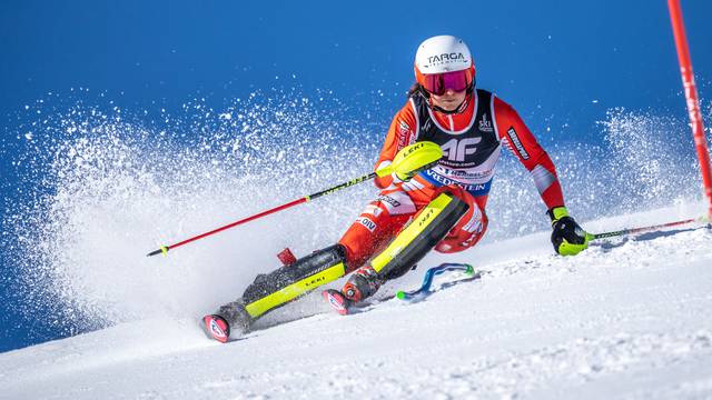 Alpine skiing: World championship