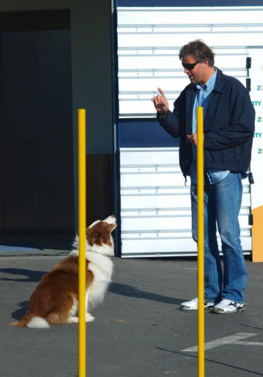 Tomislav Miletic/PIXSELL