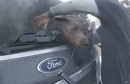 ČUDESNA SNIMKA: Spasio psa iz gorućeg auta: 'Rekao sam si, on izlazi van bez obzira na sve!'