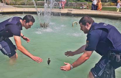 VIDEO One little duck... Ne bojte se, maleni. Nećemo vas u zatvor