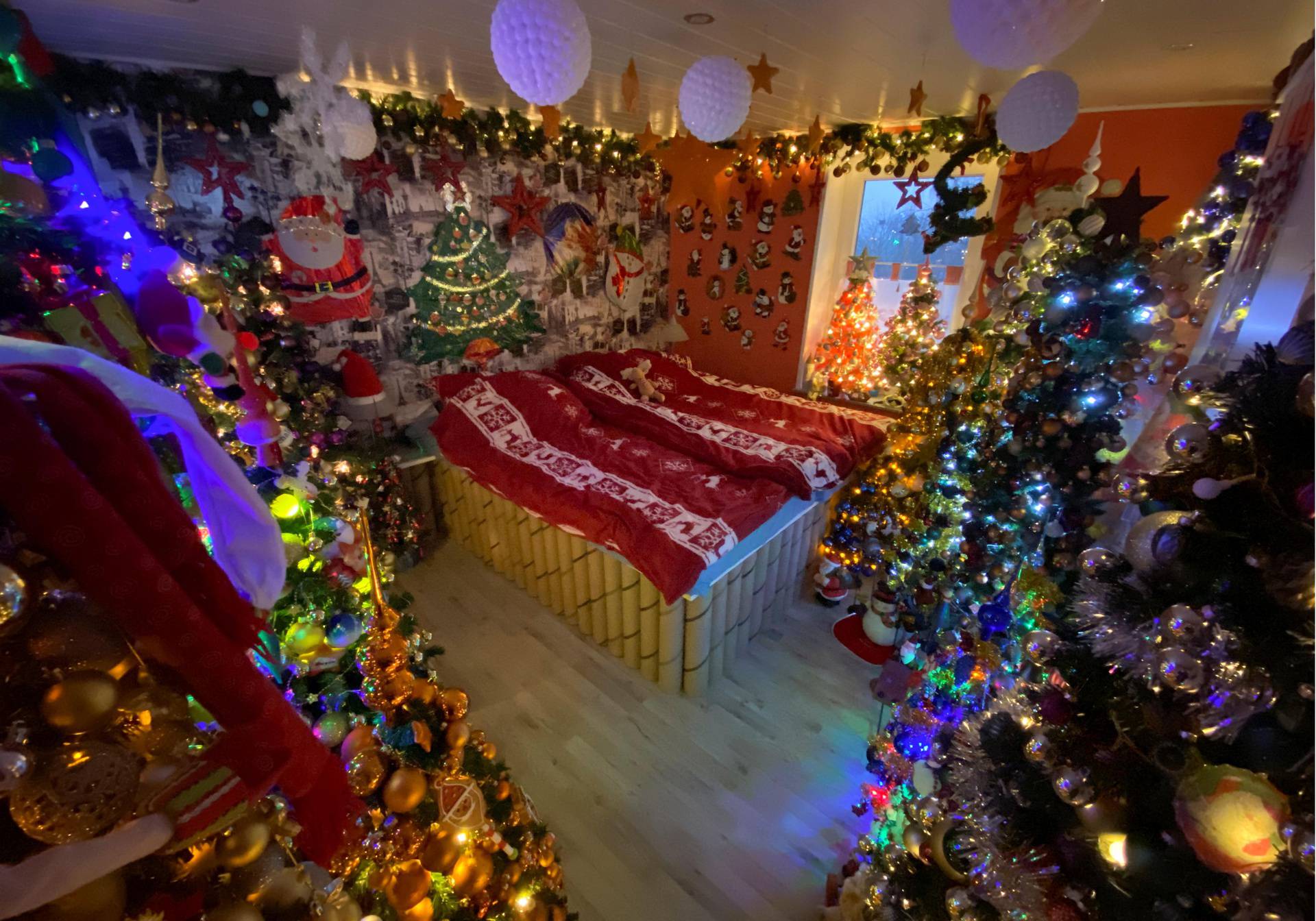 A couple in the German town of Rinteln wins the world record title with their 444 Christmas trees in one home