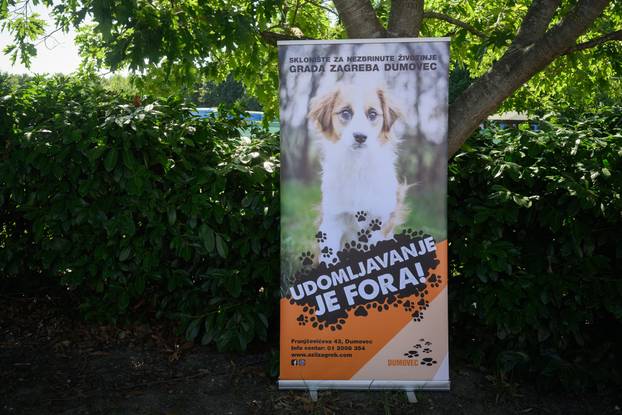 U skloništu Dumovec održan je prvi Dumovečki buvljak na kojem su građani mogli posjetiti sklonište te upoznati pse i mačke