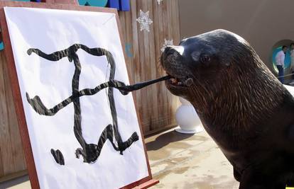 Umjetnik morski lav Jackie uči pisati kineske znakove