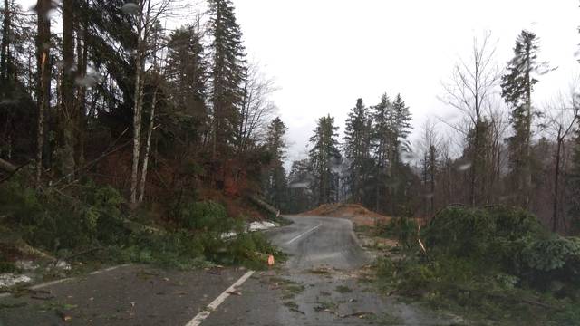 Pola milijuna kuna za štetu od nepogoda u Gorskom  kotaru