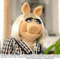 Likovi iz Muppeta u muzeju: Zvijezde Kermit i Miss Piggy