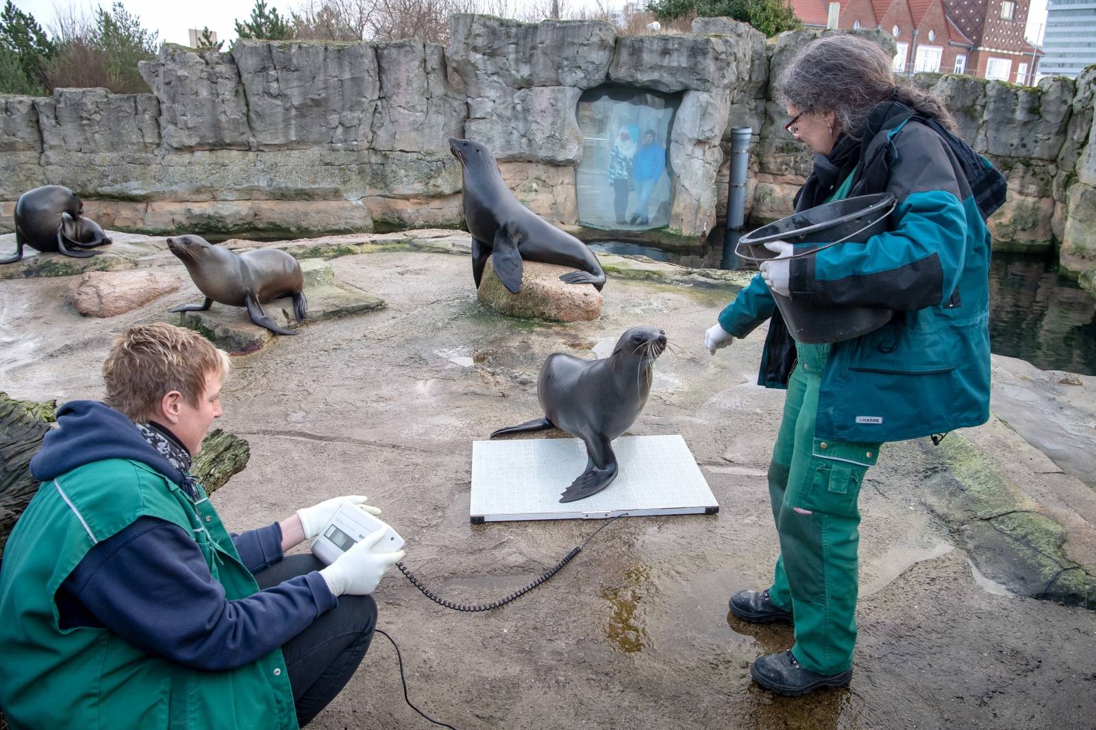 Inventory at the Bremerhaven Zoo by the sea