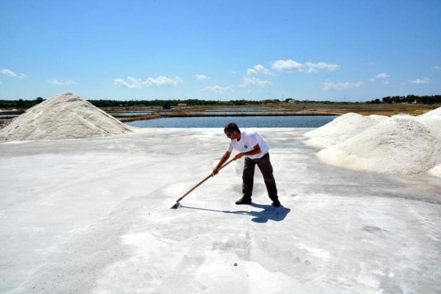 Damir Špehar/PIXSELL