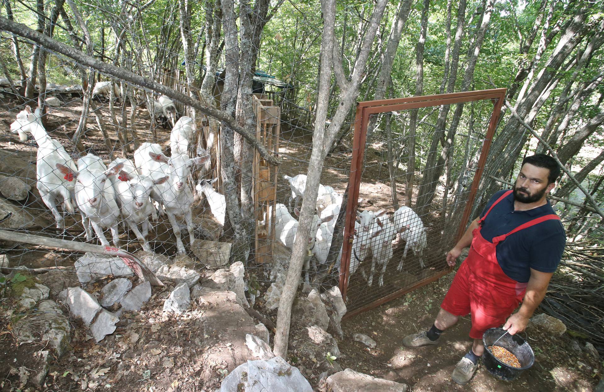 Čuvari tradicije - pastiri s Biokova