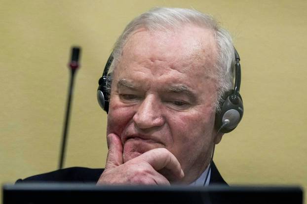 Former Bosnian Serb commander Mladic appeal judgement at UN court in The Hague