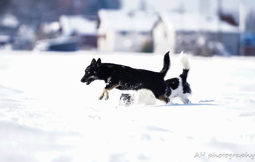 Općinska komunalka sama 'izlopatala' snijeg sa staze: 'Nema nikakve drame u tome'