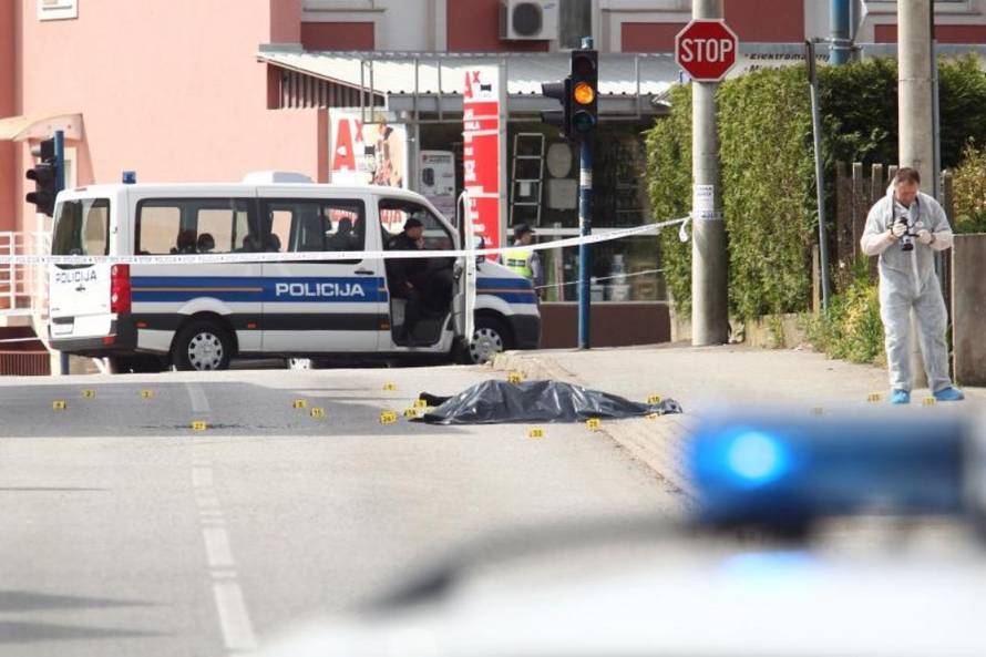 Željko Lukunić/PIXSELL