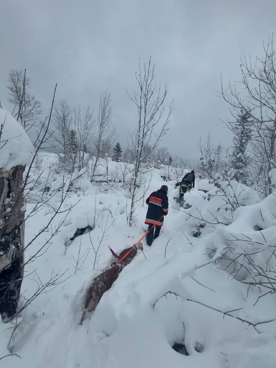 Satima se probijali kroz snijeg da spase pse na Dinari: 'Na rukama smo ih nosili vlasniku'