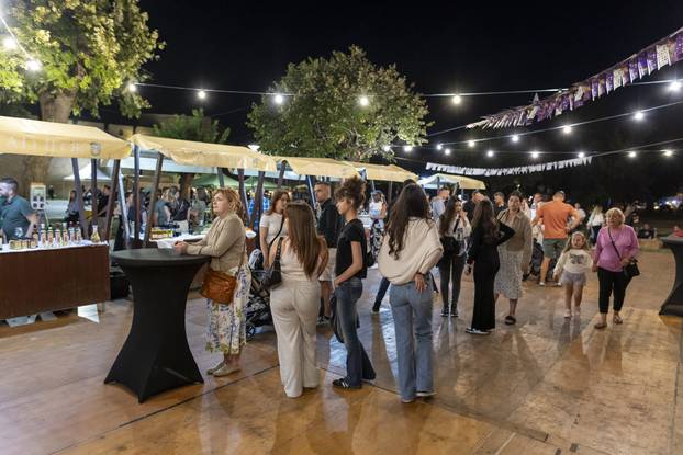 Ilok: Otvorenje 58. Iločke berbe grožđa