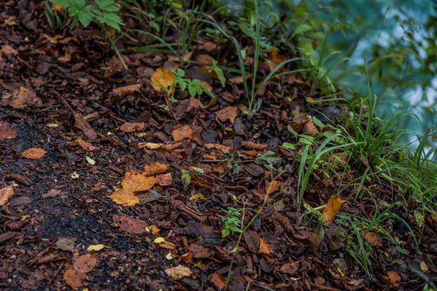 Kišno jesenski ugođaj na Plitvičkim Jezerima